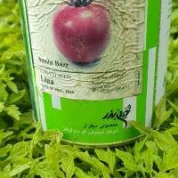 شتیل گوجه فرنگی لینا درجه یک