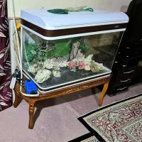 آکواریوم شیشه خم شرکتی ماهیران با تمام لوازم پرورش
