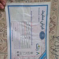 فرش نو|فرش|بجنورد, |دیوار