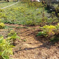 ملک سند دار|فروش زمین و ملک کلنگی|زیرآب, |دیوار