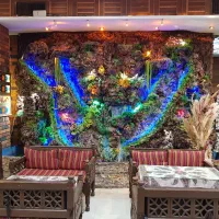 ویتر حرفه ای