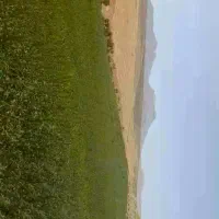 فروش زمین کشاورزی|فروش دفتر صنعتی، کشاورزی، تجاری|بیجار, |دیوار