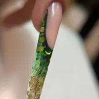 آموزش کامل کاشت پودر وژل دو میلیون و سیصد|خدمات آرایشگری و زیبایی|مشهد, شهید فرامرز عباسی|دیوار