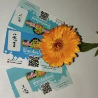 کارت بلیط شهربازی الماس سرزمین عجایب