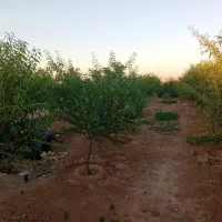 1075-متر-سنددار