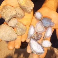 سنگ توپی عقیق.سلیمانی .کوارتز .شجر بهاره