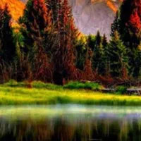 زمین 150متری