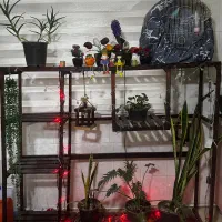 استند گل سفارشی