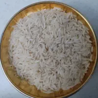 برنج محلی شمال به ضمانت