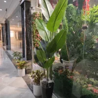 پرنده بهشتی مصنوعی