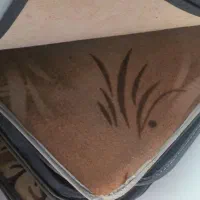 دنیای پا دری همین جاست|پادری|گلبهار, شهر جدید گلبهار|دیوار