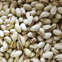 خریدار پسته کشاورز بالاترین قیمت