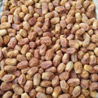 خرمای زاهدی (قصب)