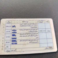 گواهینامه به اسم امیر رضا اسکندری پیدا شده