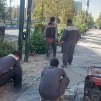 نیروی کار ساده