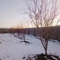 فروش-باغ-1000-متری-حسین-آباد