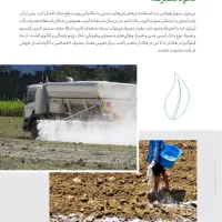 گچ کشاورزی یا سولفات کلسیم|خدمات باغبانی و درختکاری|اصفهان, بهارستان|دیوار