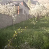 باغچه فروشی جاده