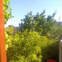 نیازمندسرمایه گذاردرشرکت تولید پوشاک درزاهدان|مشارکت در ساخت املاک|تهران, آرژانتین|دیوار