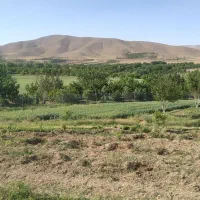زمین کشاورزی روستای اسداباد