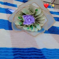 گل پول وا روبان|گل مصنوعی|شوشتر, |دیوار