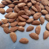 انواع مغز بادام ایرانی|خوردنی و آشامیدنی|قم, میدان نو|دیوار