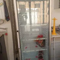 یخچال ایستاده ۶۰ سانتی در حد زیمان