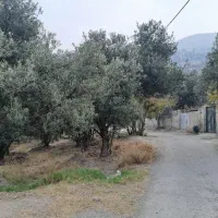 فروش زمین باغی مسکونی (قولنامه ای)|فروش زمین و ملک کلنگی|رودبار, |دیوار