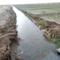 فروش ۴حبه زمین کشاورزی