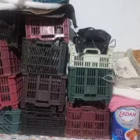 سبدگوجه وانگور