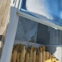 فریزر صندوقی جنرال 350 لیتری|یخچال و فریزر|بندرعباس, |دیوار