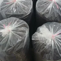 چای محلی