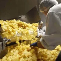 کار در کارخانه چیپس