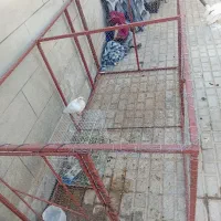 قفس فروشی|لوازم جانبی حیوانات|فردوس (خراسان), |دیوار