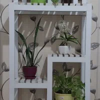 استند گل