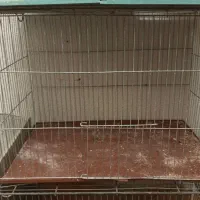 قفس|لوازم جانبی حیوانات|شاهین‌شهر, مسکن مهر|دیوار