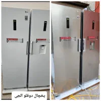 دوقلو الجی نو و پلم