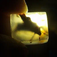 سنگ نگین انگشتر|جواهرات|مشهد, سرافرازان|دیوار