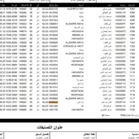 عراق 2024|پرنده|اهواز, امانیه|دیوار