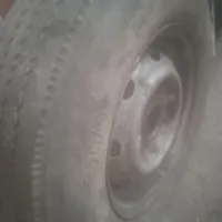 خزنده