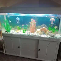 سلام یک عدد شیشه آکواریوم بفروش میرسد|ماهی|بوشهر, |دیوار