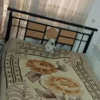 تخت دونفره چوب و فلز با تشک و میز آرایش آینه دار