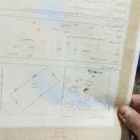 یک قطعه زمین۴۶قصب کاربری سفید سند تک برگ