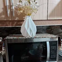 مایکروویو Gplus