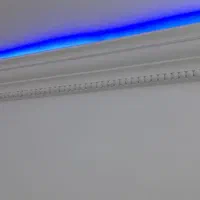 استادگچ کار گچکاری از کار نوع گرفته تا لکه گیری