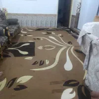 دوتاگلیم فرش درحدنو۱۲متری