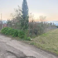 1000متر زمین مسکونی/ساحل کلفارود|فروش زمین و ملک کلنگی|تالش, طولارود|دیوار