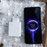 کله شارژ 67W سرکارتنی