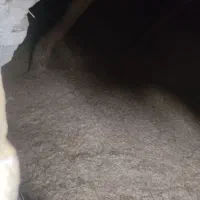 کاه یا سامان گندم|لوازم جانبی حیوانات|چهاردانگه (آذربایجان), |دیوار