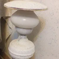 آباژور سالم